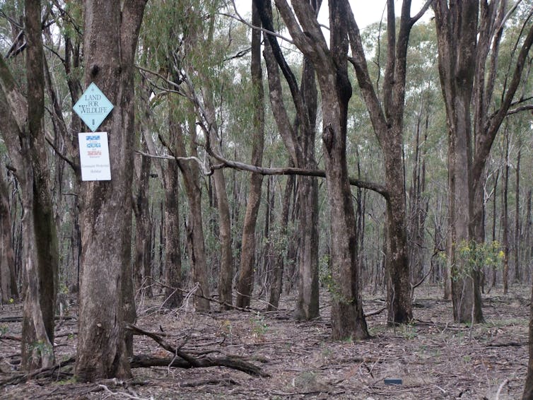 forest in australia with sign saying land for wildlife