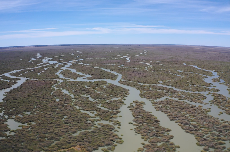 snaking rivers in Riverina region