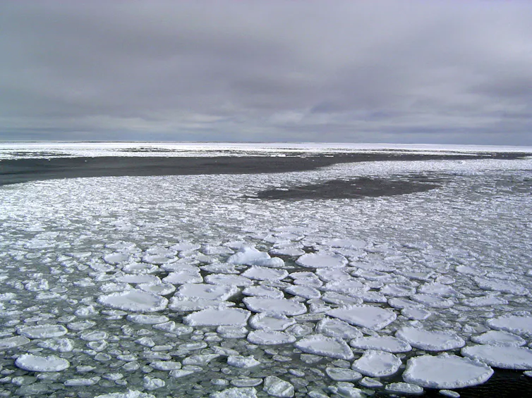 antarctic sea ice and sky