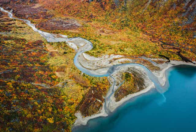 An aerial view of a river delta flowing into a blue ocean amid an autumn landscape