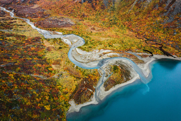 An aerial view of a river delta flowing into a blue ocean amid an autumn landscape