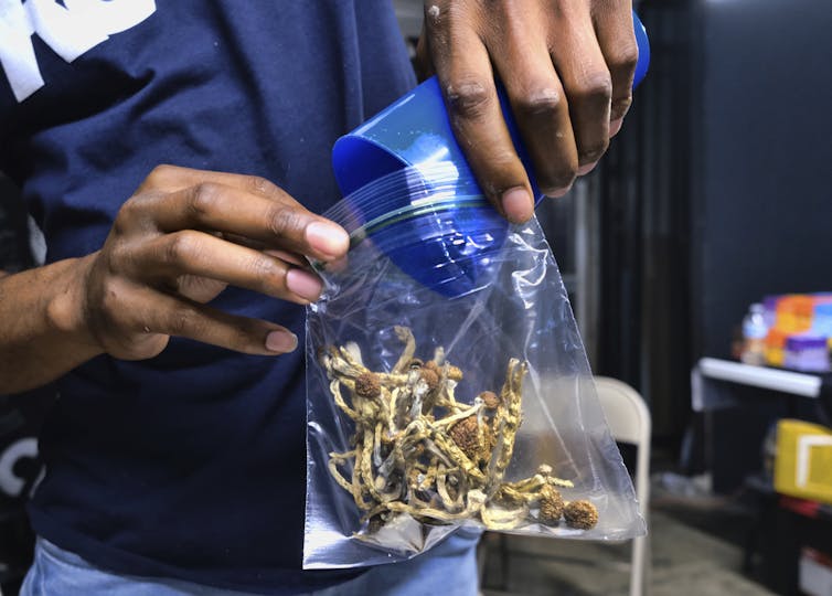 A person with brown hands pours mushrooms into a plastic bag