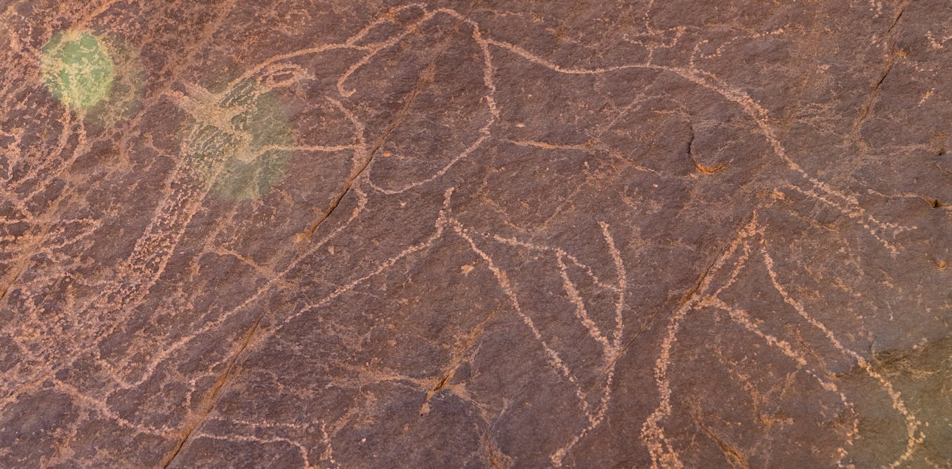 The sahara desert used to be a green savannah – new research explains why