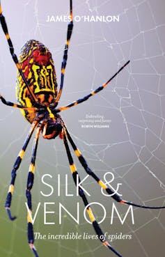 Everybody has a spider story, but these amazing creatures are often misunderstood