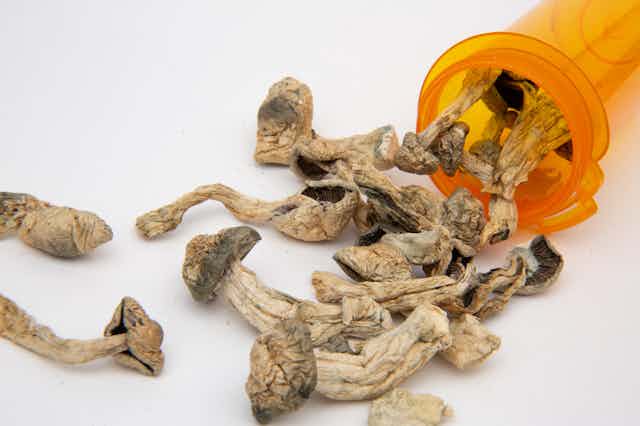 a pill bottle with dried mushrooms