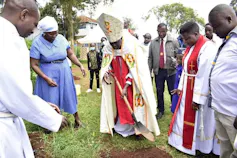 Man planting a tree sapling