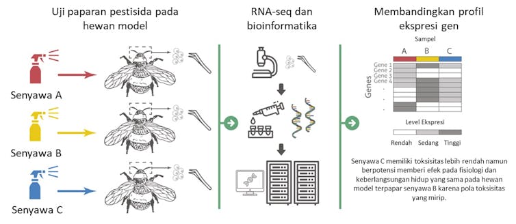 Indonesia pengguna pestisida terbesar ketiga dunia, tapi riset efeknya masih kurang 8 Indonesia pengguna pestisida terbesar ketiga dunia, tapi riset efeknya masih kurang