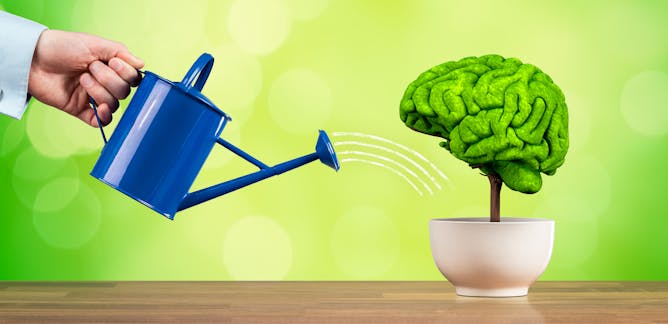 research topics on neuroplasticity