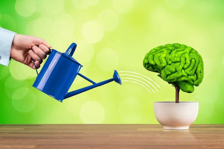 A watering can watering a pottet plant in the shape of a green brain