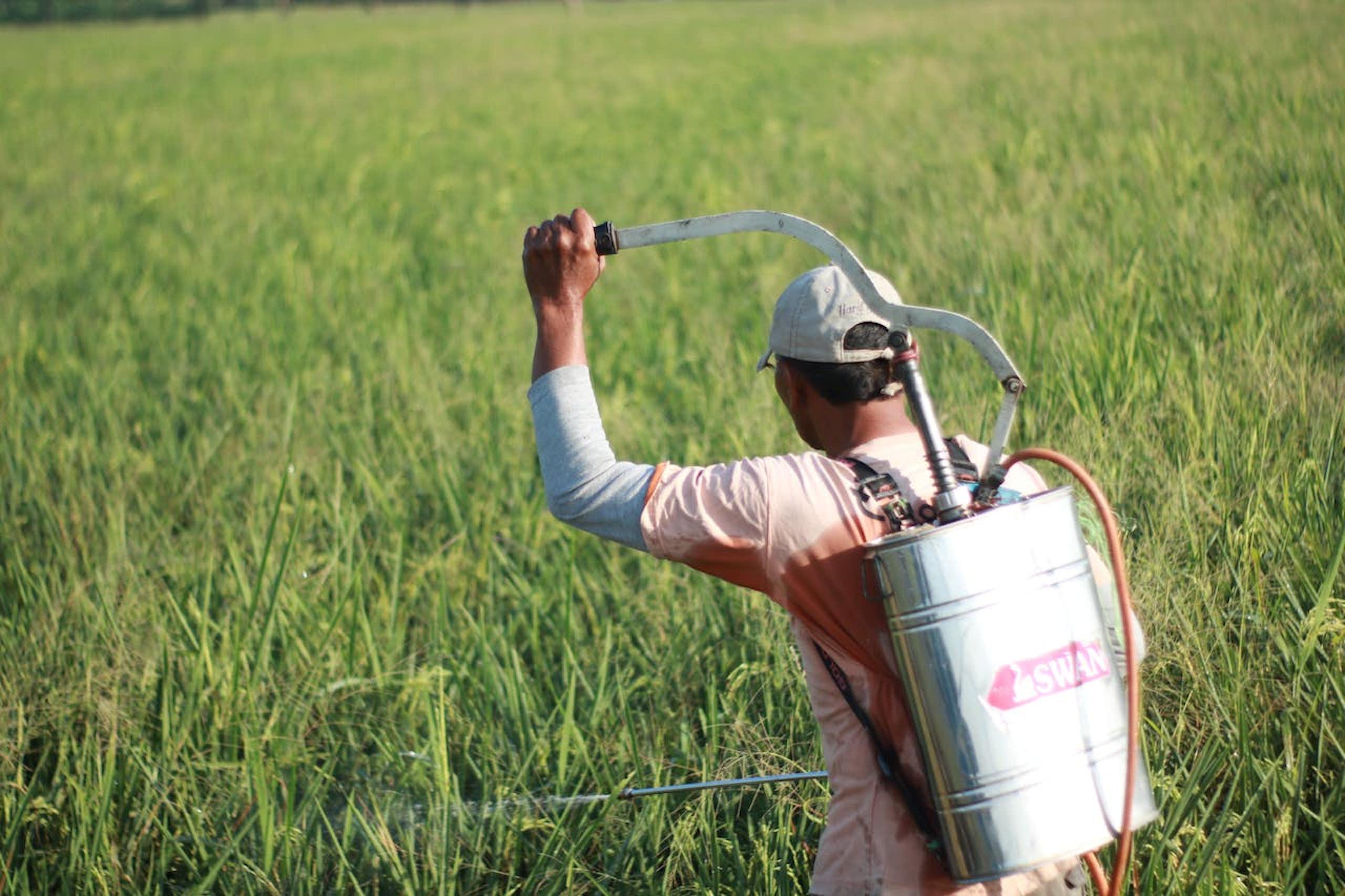 Indonesia pengguna pestisida terbesar ketiga dunia, tapi riset efeknya masih kurang