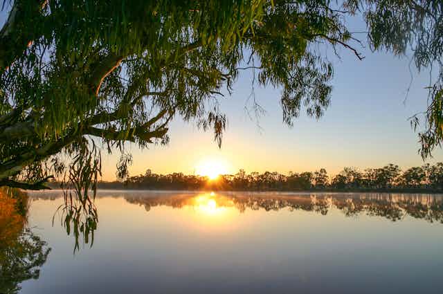 Sunrise on the Murray River in near Kingston-on-Murray in South Australia