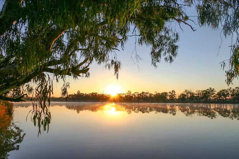 Sunrise on the Murray River in near Kingston-on-Murray in South Australia