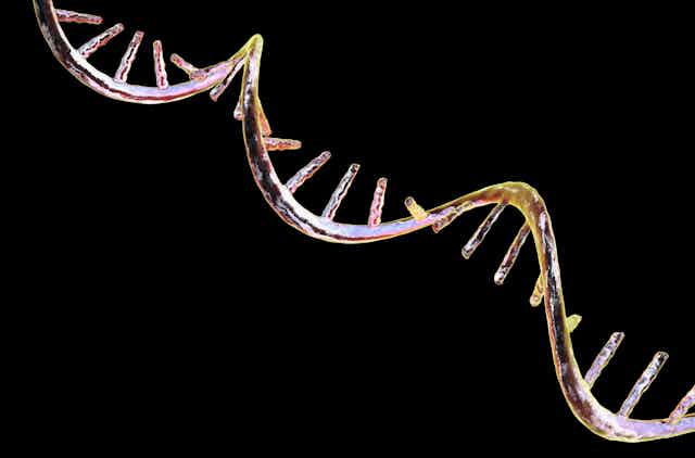Illustration of a gleaning RNA molecule stretching diagonally across a black background