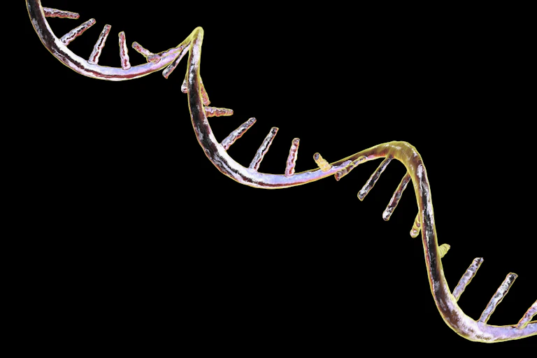 Illustration of a gleaning RNA molecule stretching diagonally across a black background