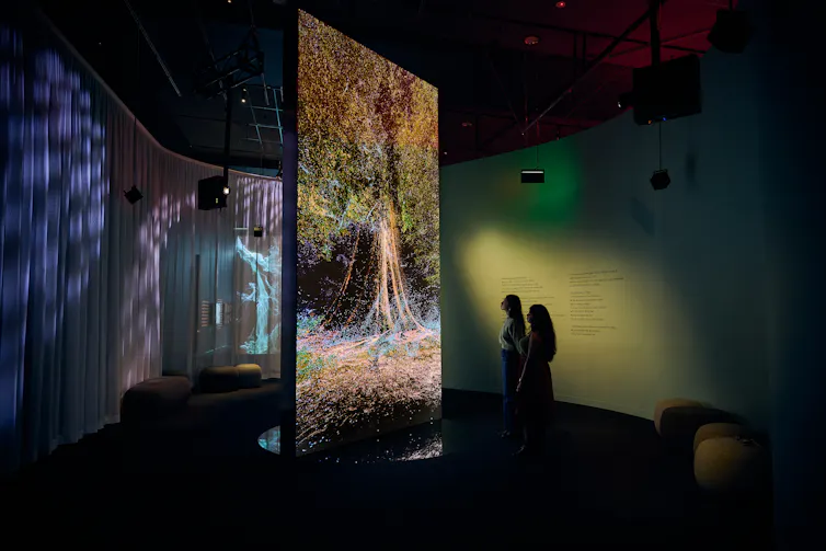 A tree projection.