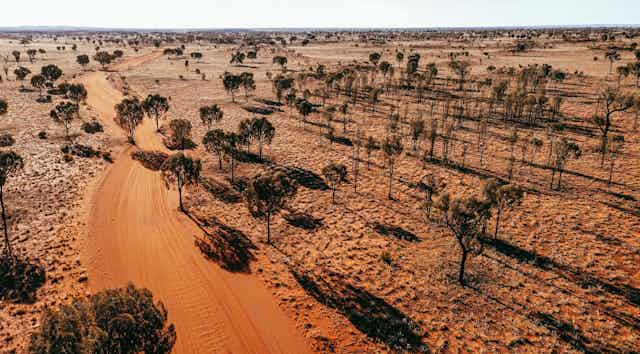 arid rangelands, red dirt and a few trees Australia