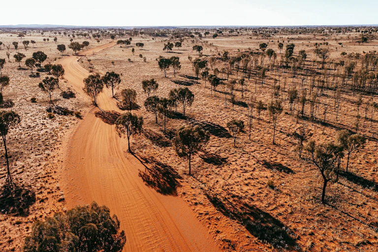 arid rangelands, red dirt and a few trees Australia