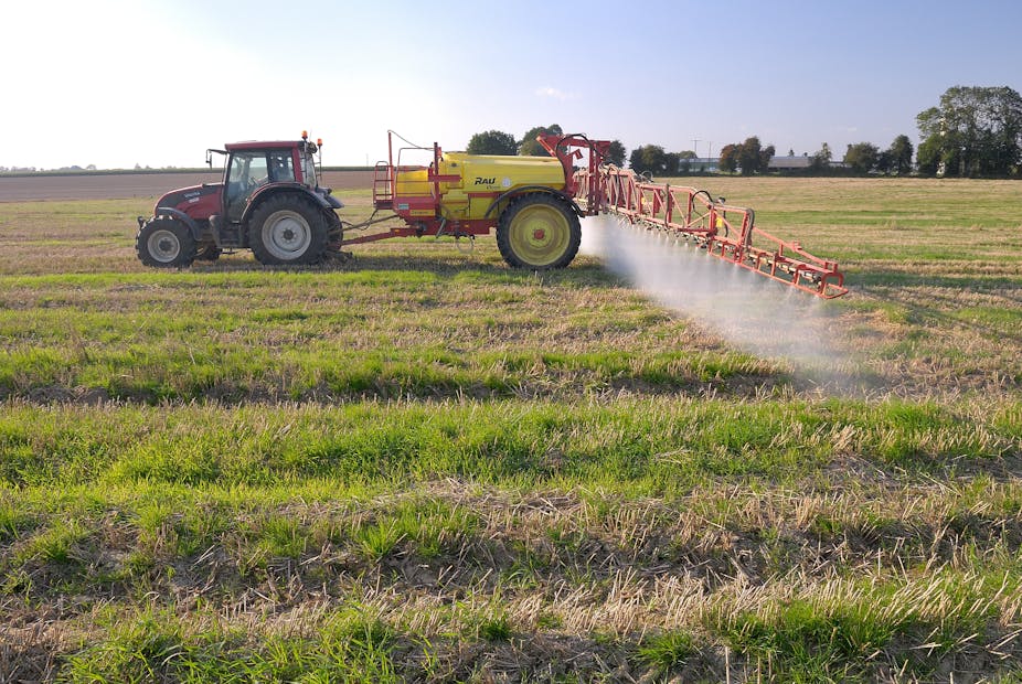 Un tracteur est en train d'épandre du Round-Up (Glyphosate) sur de la paille de blé à l'aide d'une machine de pulvérisation.
