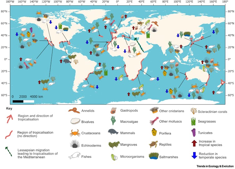 Mapa mundial comentado