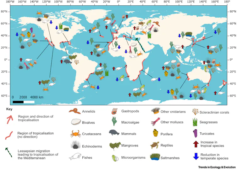 Annotated world map