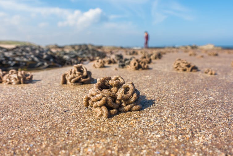 Piles of tubes made of sand.