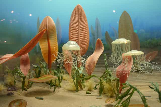 An illustration showing jellyfish-like creatures bobbing among strange plants on the seabed.