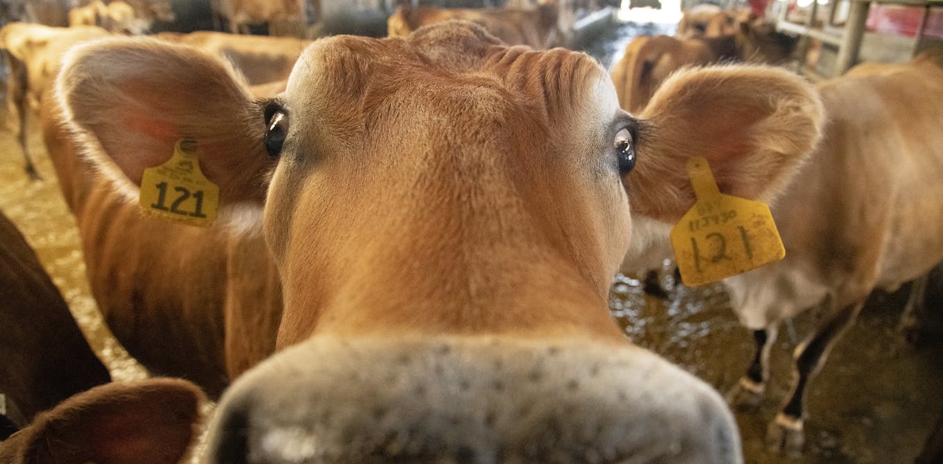 7 food and agriculture innovations needed to protect the climate and feed a rapidly growing world 7 food and agriculture innovations needed to protect the climate and feed a rapidly growing world