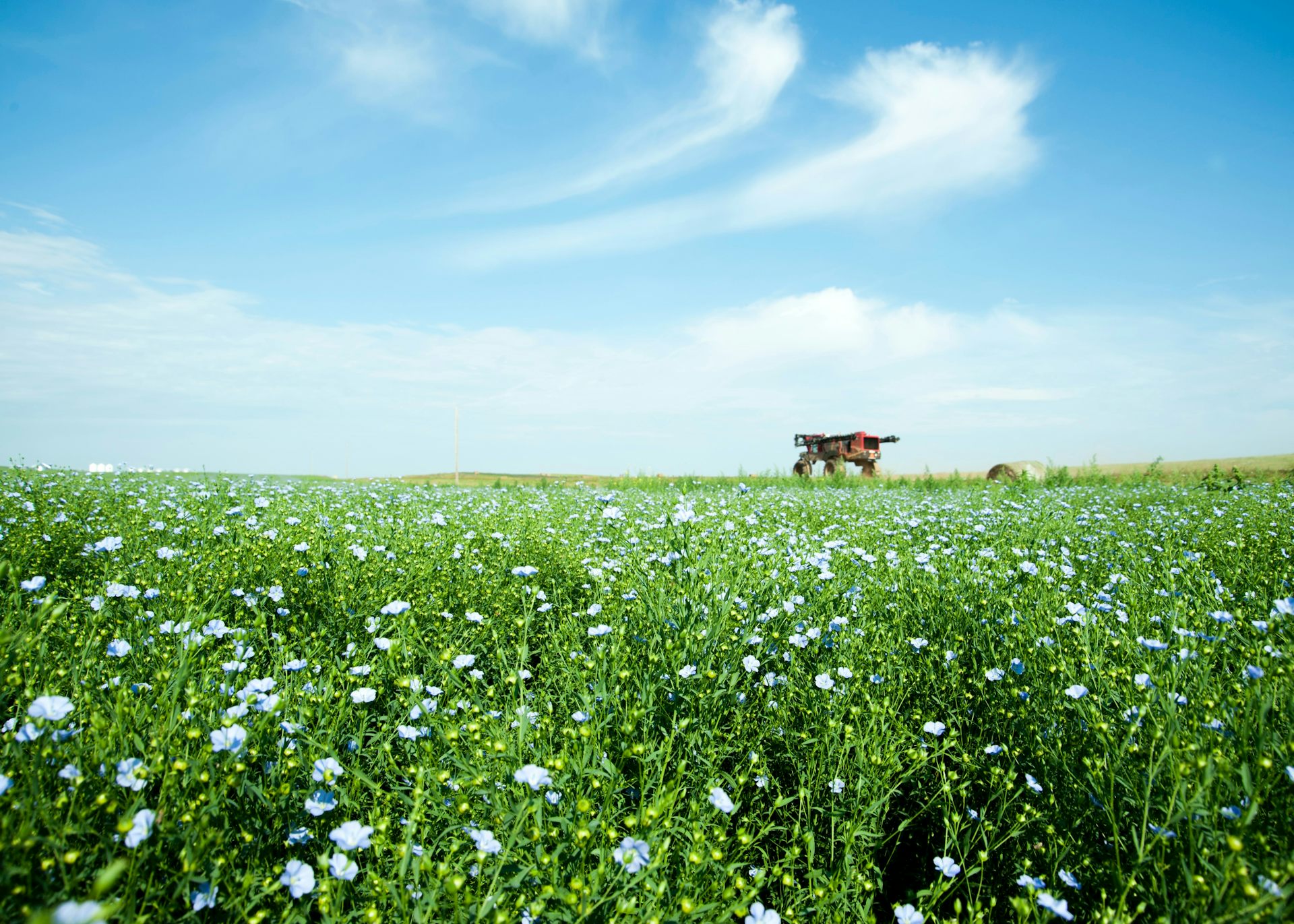 Automobile : et s’il y avait un peu de chanvre dans l’habitacle et un peu de lin dans votre moteur ?