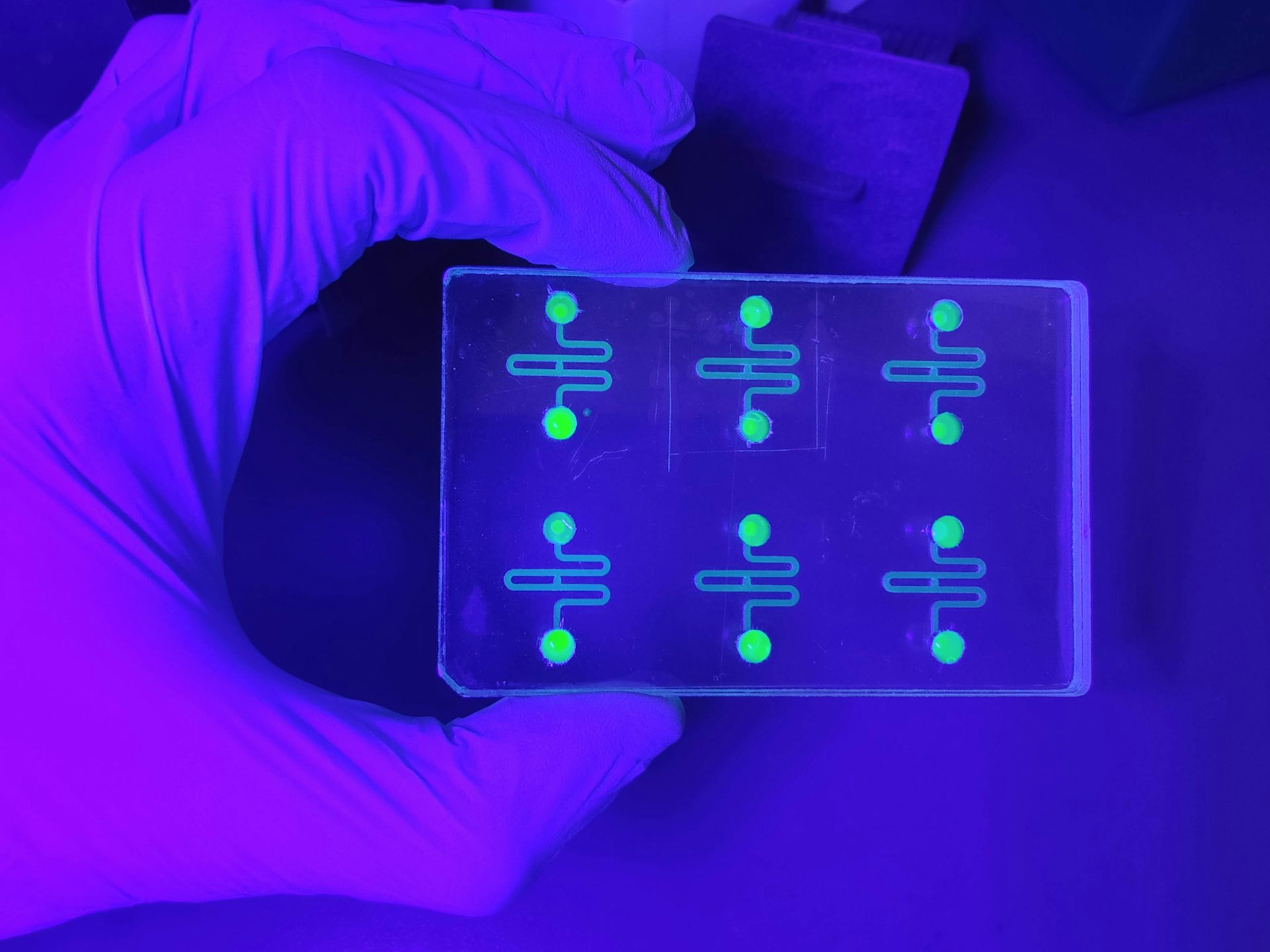 a hand holding a chip with six neon circuits