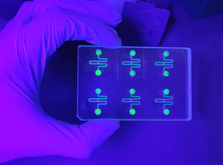 a hand holding a chip with six neon circuits