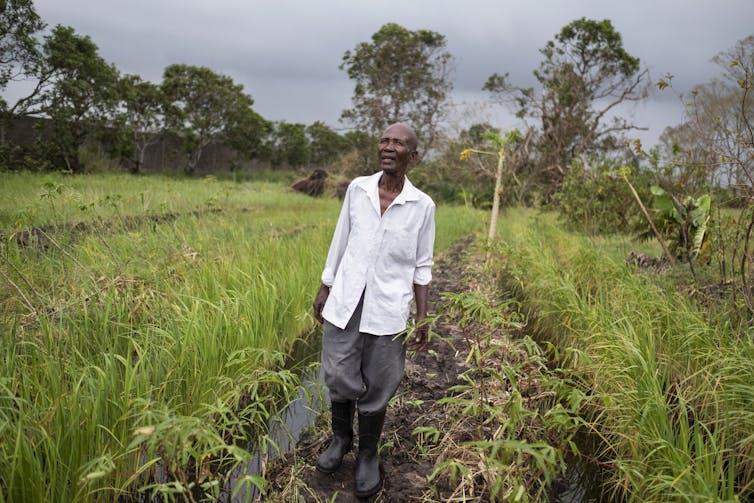 A man stands in a rice field in Mozambique after a storm.