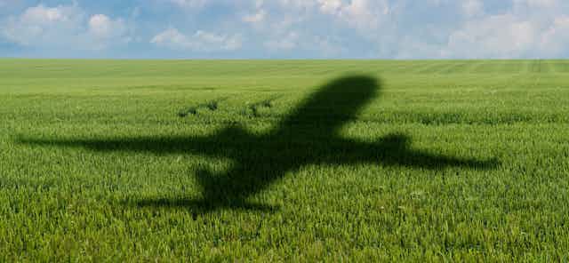 Shadow of a plane on an agricultural field.