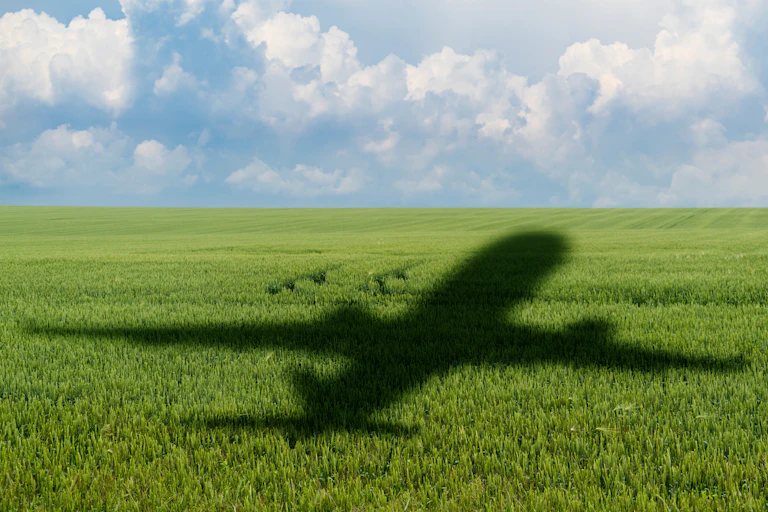 Shadow of a plane on an agricultural field.