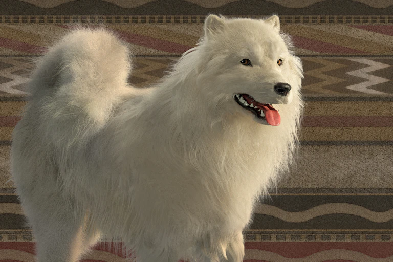 white puffy dog stands against a patterned blanket backdrop