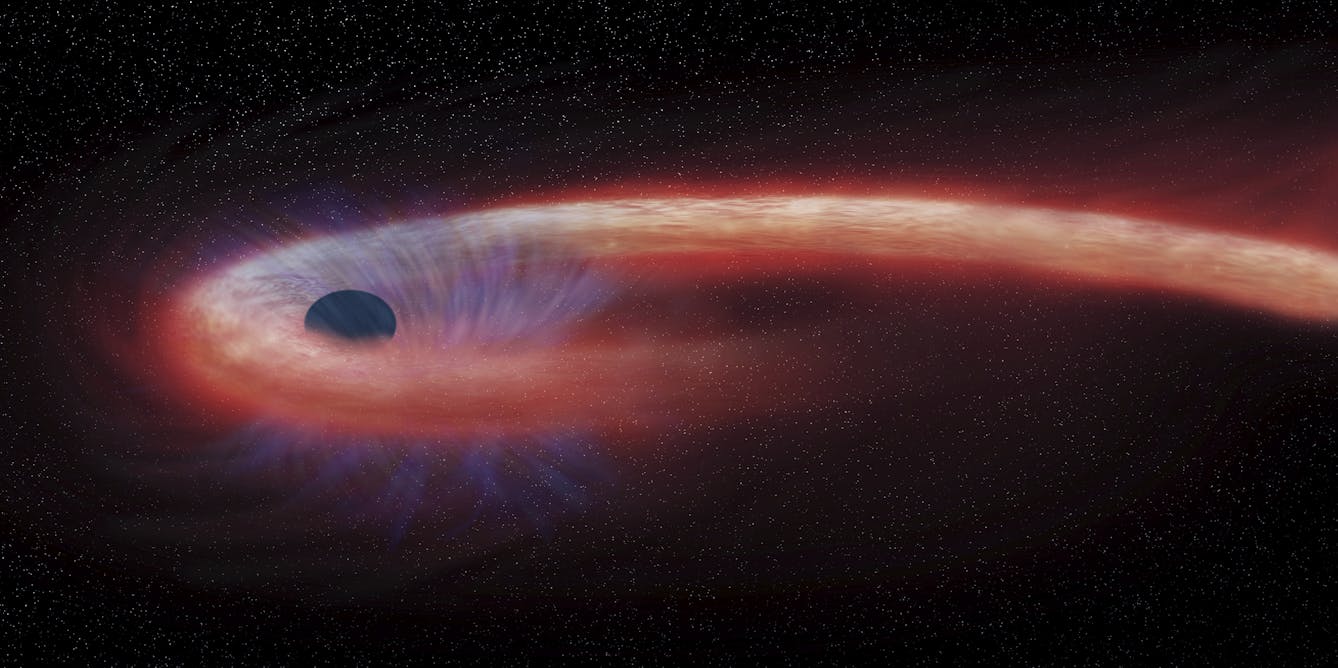 Why are some black holes bigger than others? An astronomer explains how these celestial vacuums grow