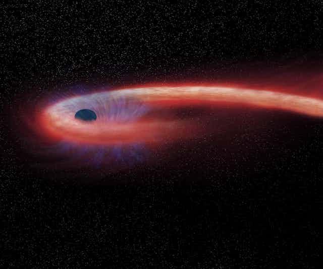 This artist rendering shows a star, shown as a smal black orb, being swallowed by a black hole, which looks like a gray waterfall, and emitting an X-ray flare, shown in red as a tail trailing off the right of the screen.