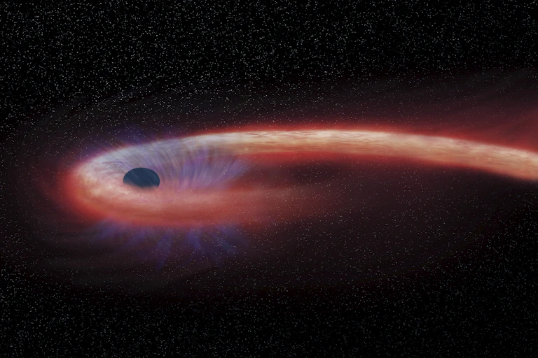 This artist rendering shows a star, shown as a smal black orb, being swallowed by a black hole, which looks like a gray waterfall, and emitting an X-ray flare, shown in red as a tail trailing off the right of the screen.