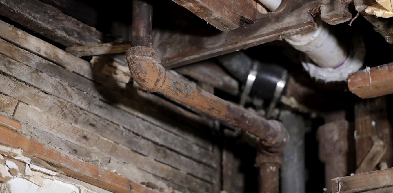 Citizen science projects tend to attract white, affluent, well-educated volunteers − here’s how we recruited a more diverse group to identify lead pipes in homes Citizen science projects tend to attract white, affluent, well-educated volunteers − here’s how we recruited a more diverse group to identify lead pipes in homes