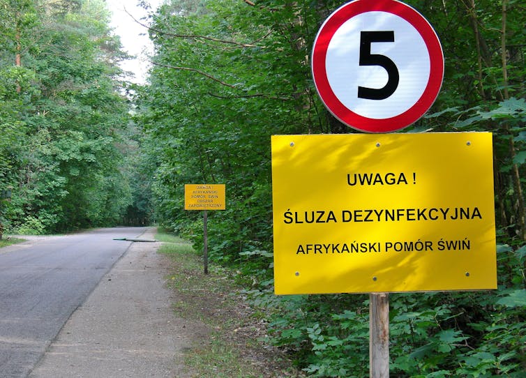 Photos de panneaux d’avertissement concernant la peste porcine africaine, en Pologne.