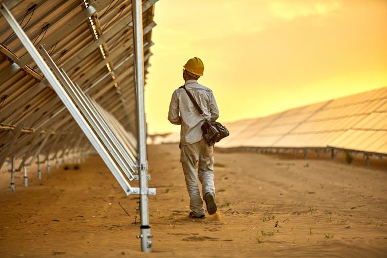 Man inspects dusty solar farm