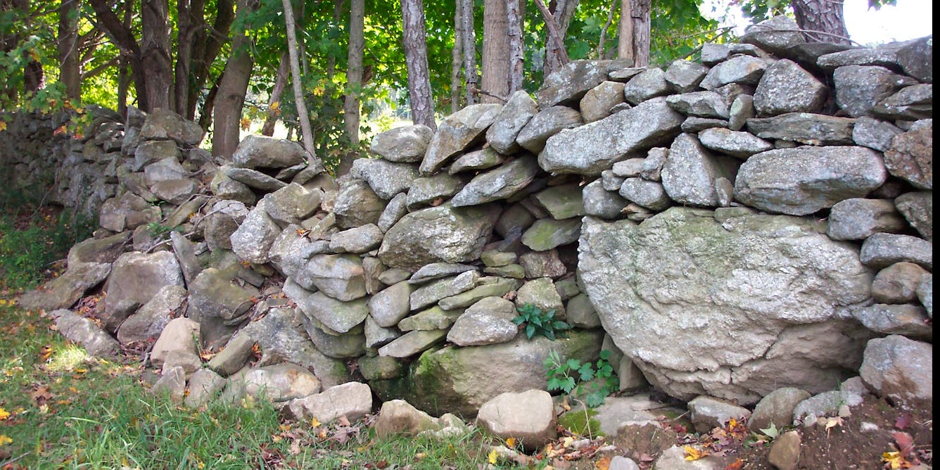 New England stone walls lie at the intersection of history, archaeology, ecology and geoscience, and deserve a science of their own