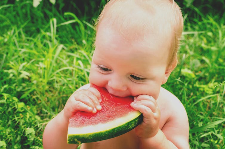 Baby chewing on water melon outside in grassy garden or park