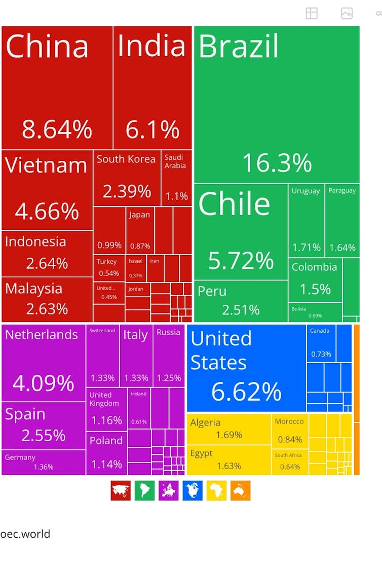 A graph of Argentina's main export partners, by country.