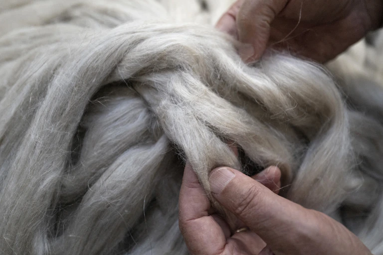 Main qui tiennent des fibres de lin