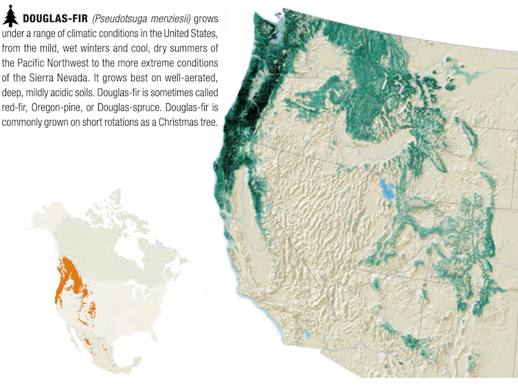 A map of Douglas-fir locations, primarily in the Pacific Northwest and intermountain West