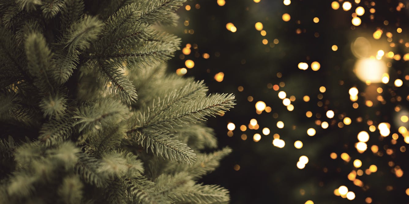 The economics of the US holiday tree industry