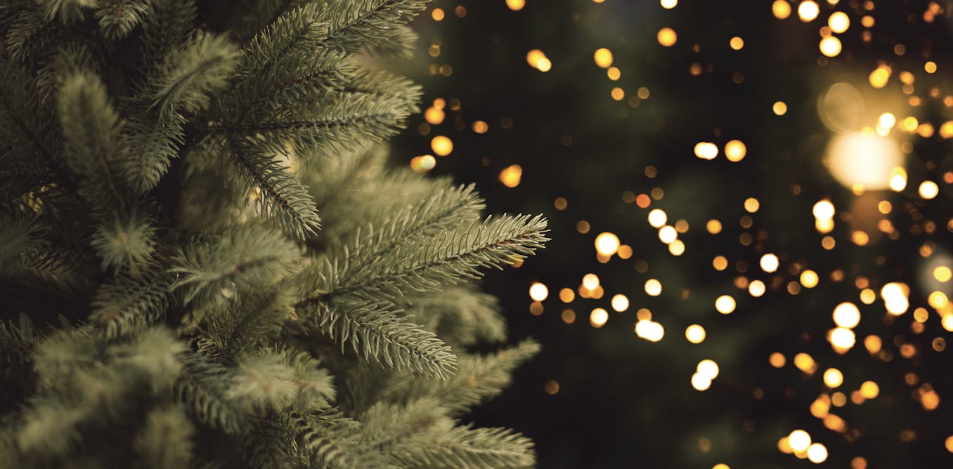 The economics of the US holiday tree industry The economics of the US holiday tree industry