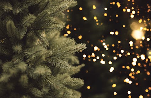 Oh, Christmas tree: The economics of the US holiday tree industry