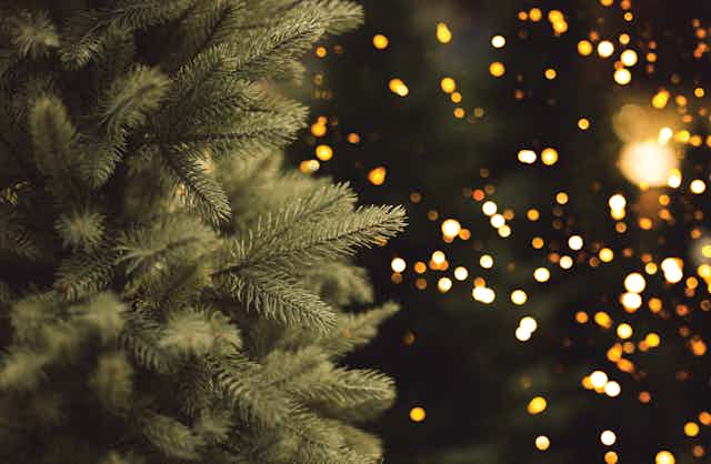 A Christmas tree is shown in close-up in front of a backdrop of twinkling holiday lights. 