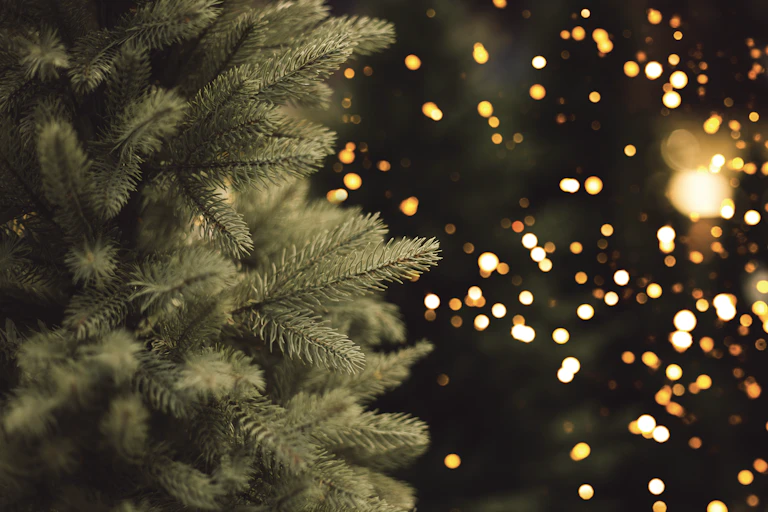 A Christmas tree is shown in close-up in front of a backdrop of twinkling holiday lights.